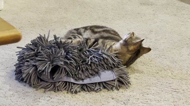 Jackson Galaxy Snuffle Mat for Cats